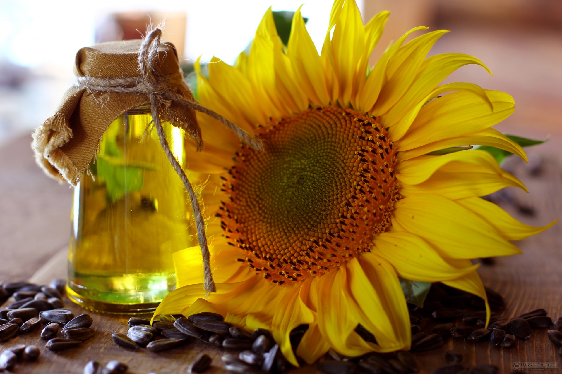 sunflower-oil-refinery-plant